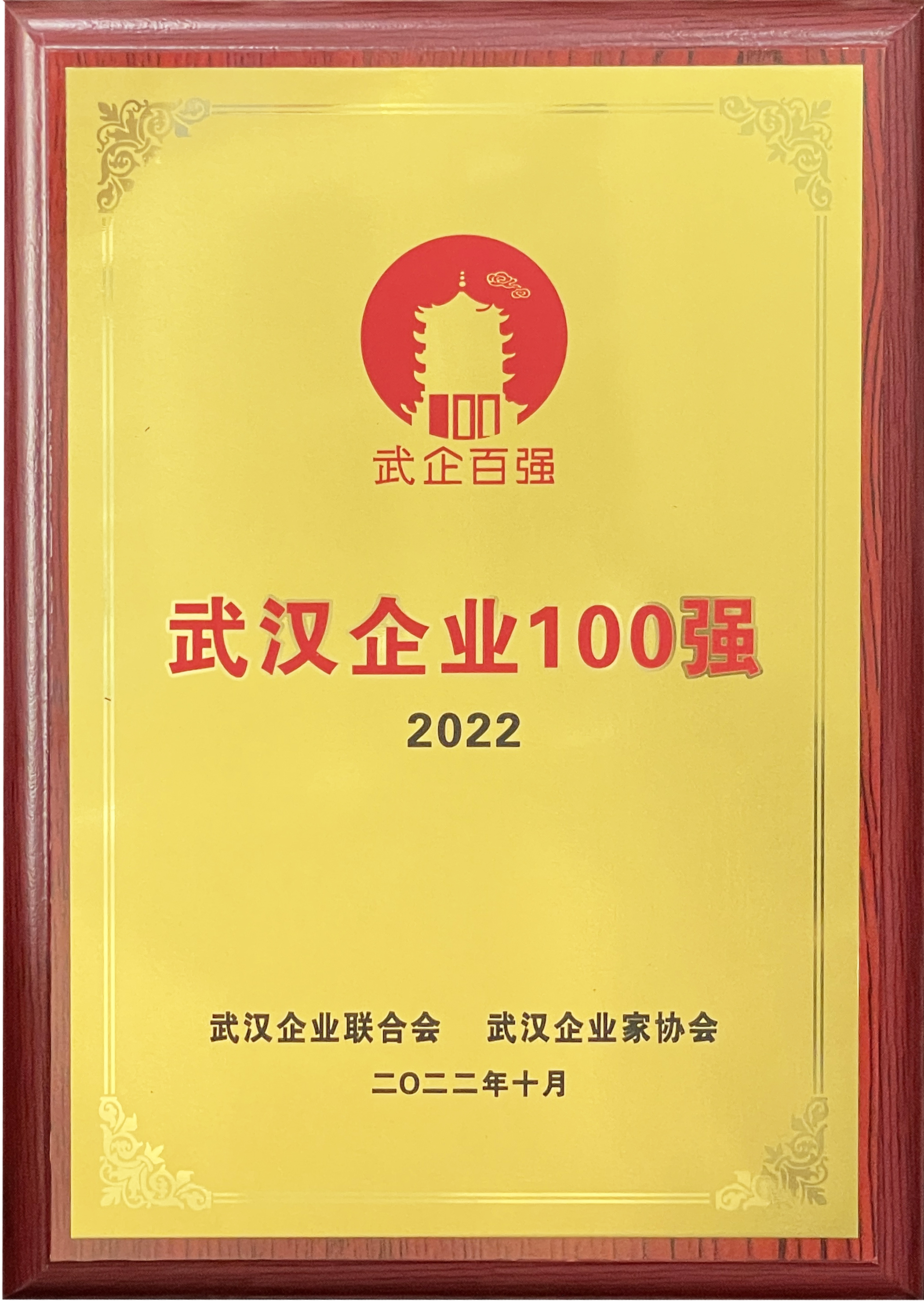  2022武汉企业100强